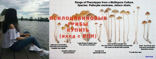 ALPHA-PVP Алексеевка